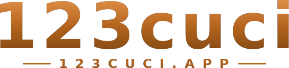 123cuci logo